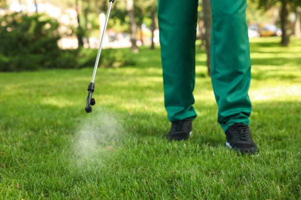 Reliable Holtville, CA Pest Control Solutions