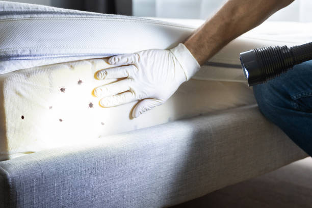 Best Pest Control for Businesses  in Holtville, CA