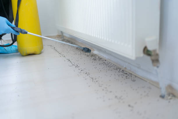 Pest Control for Restaurants in Holtville, CA