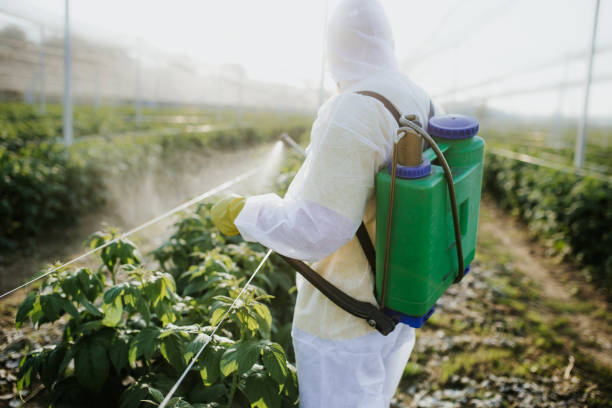 Best Cockroach Control Services  in Holtville, CA